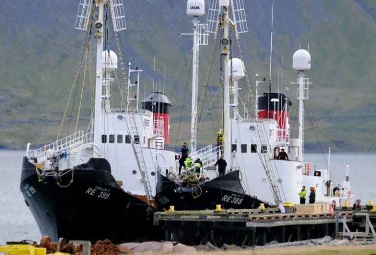 Navios baleeiros da islândia