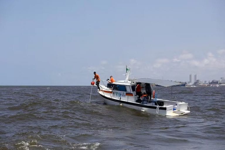 Monitoramento de tubarões no Recife pelo Projeto Ecotuba.