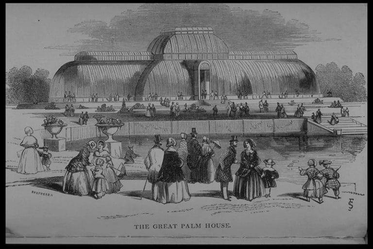 The Great Palm House 