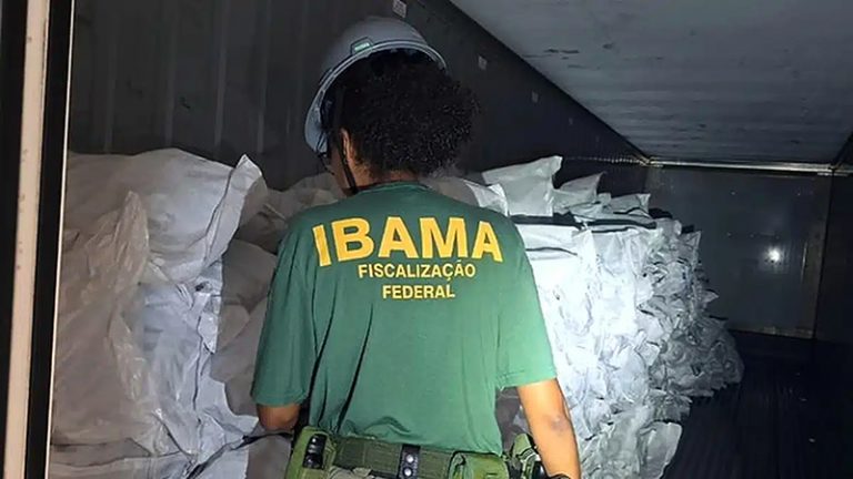 Ibama impede tráfico de barbatanas de tubarões.