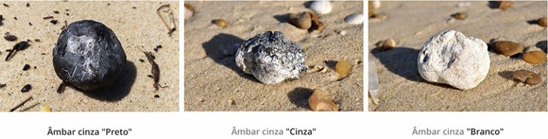 Imagens de âmbar-cinzento na praia 